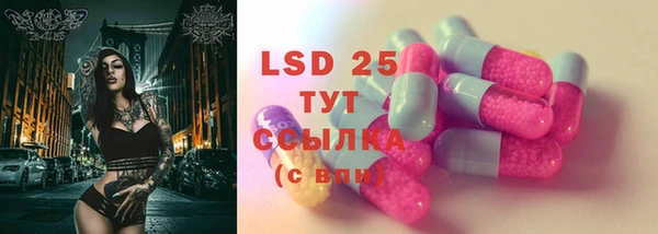прущие грибы Алексеевка