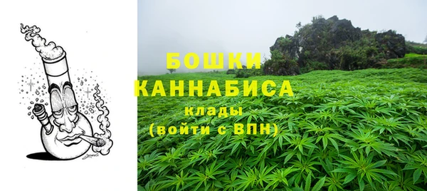 сатива Алзамай