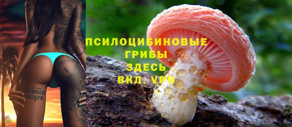 прущие грибы Алексеевка