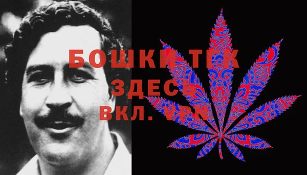 Альфа ПВП Аркадак